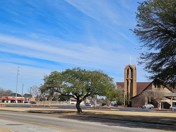 Images Top Notch Lawns