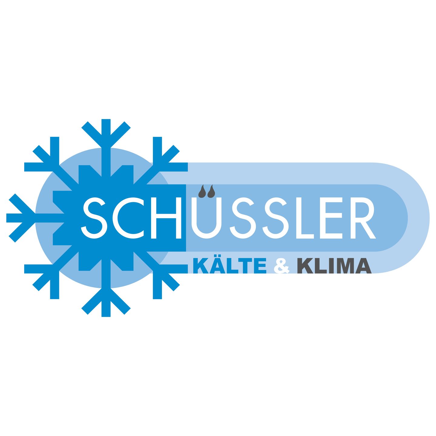 H. Schüssler Klima Service, Klima-, Regel- und Anlagentechnik GmbH  