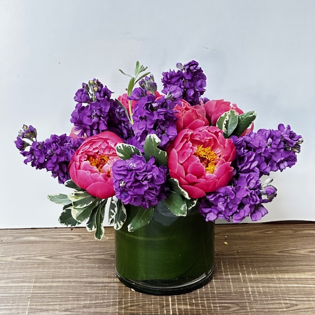 Images Jane's Roses & Flowers