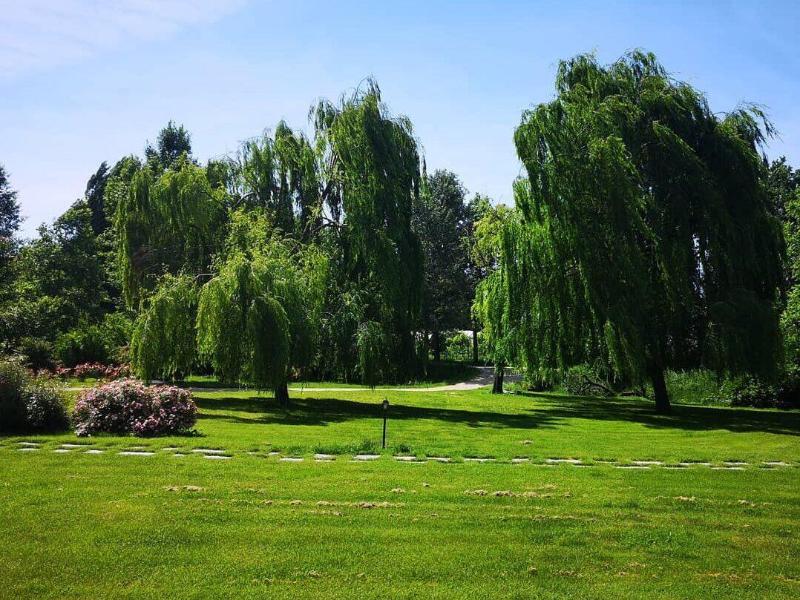 Images Tenuta dei Tulipani