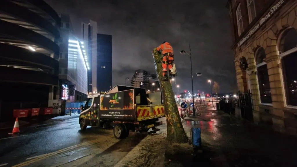 Images Arborex Tree Specialists Ltd