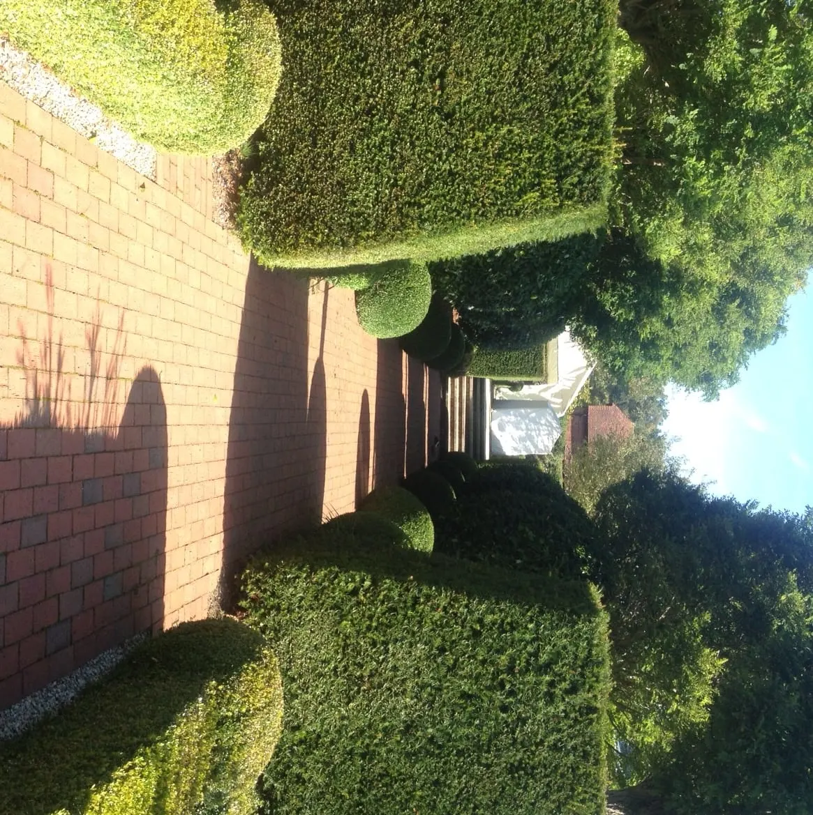 Images SN Landscaping Ltd