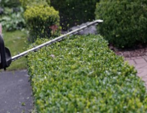 Greenfell Tree Services 4