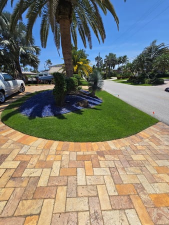 Images Nutra Green Pest Control