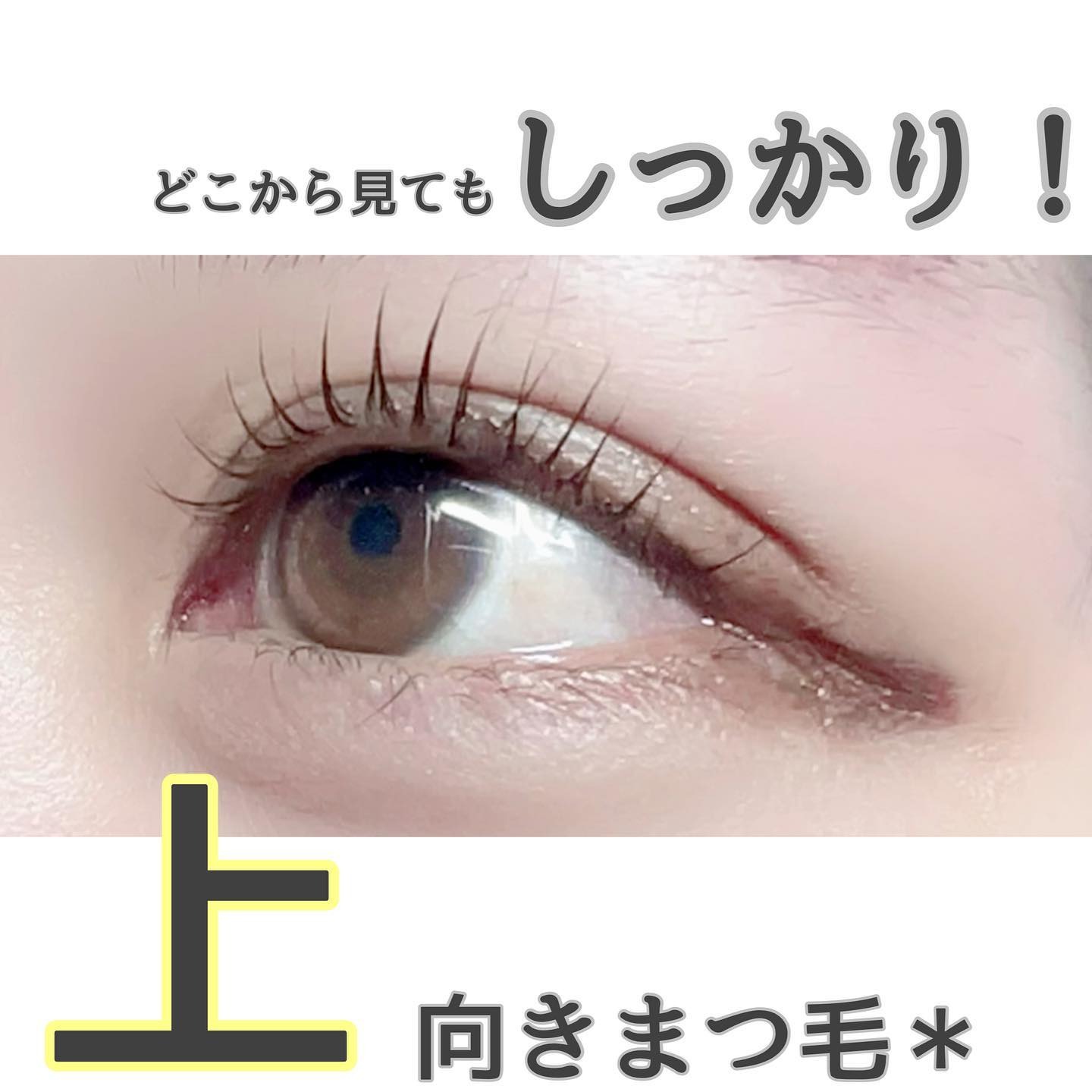 Images eyelash salon LIALI