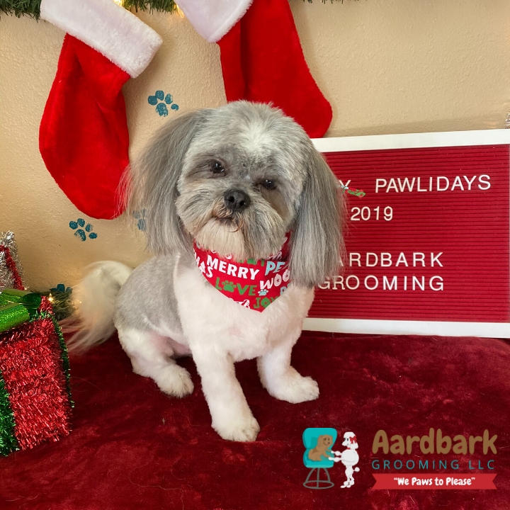 Aardbark Grooming Photo