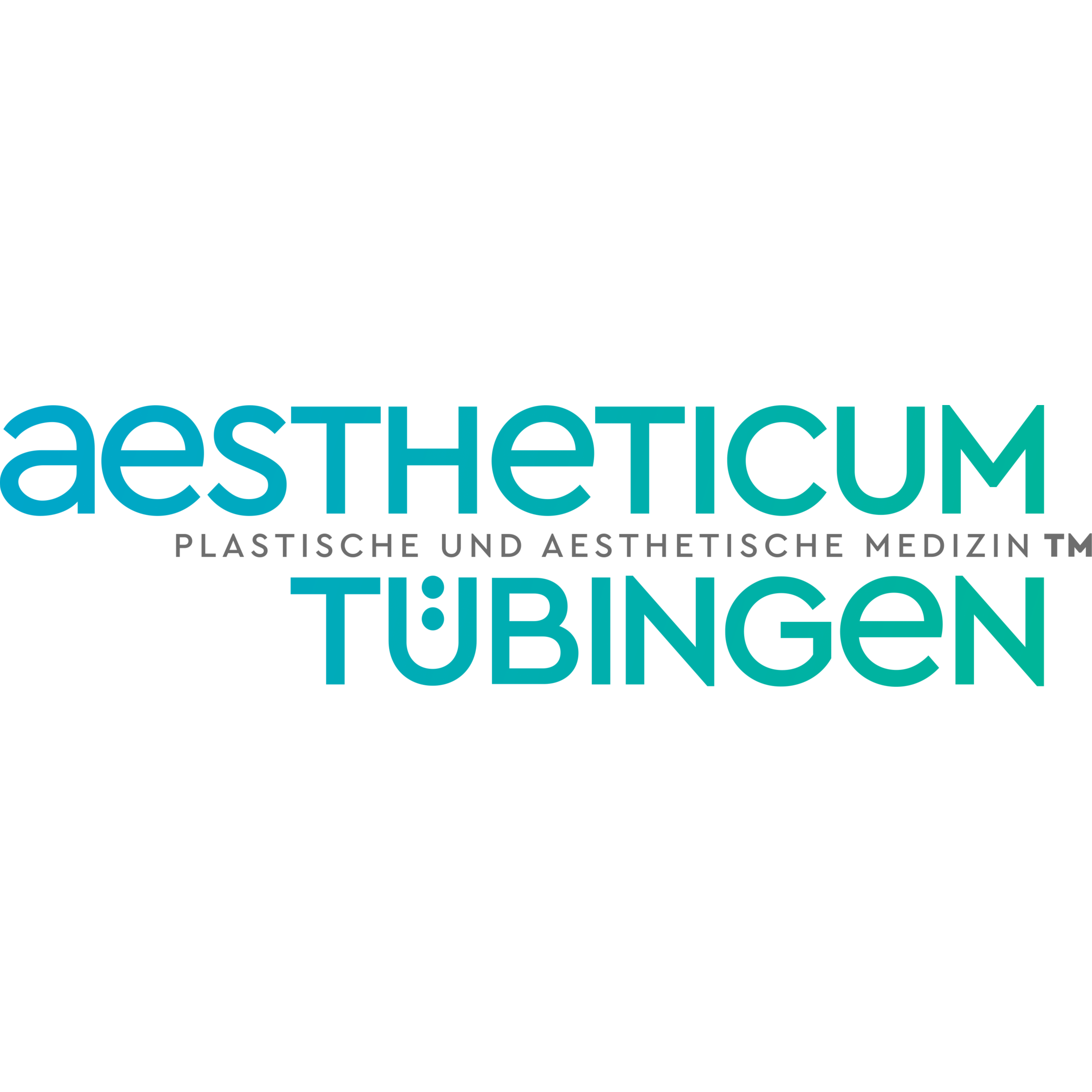 Aestheticum Tübingen - Privatklinik für Plastische & Ästhetische Medizin Dr. med. Philipp Braun & PD Dr. med. Oliver Lotter in Tübingen - Logo