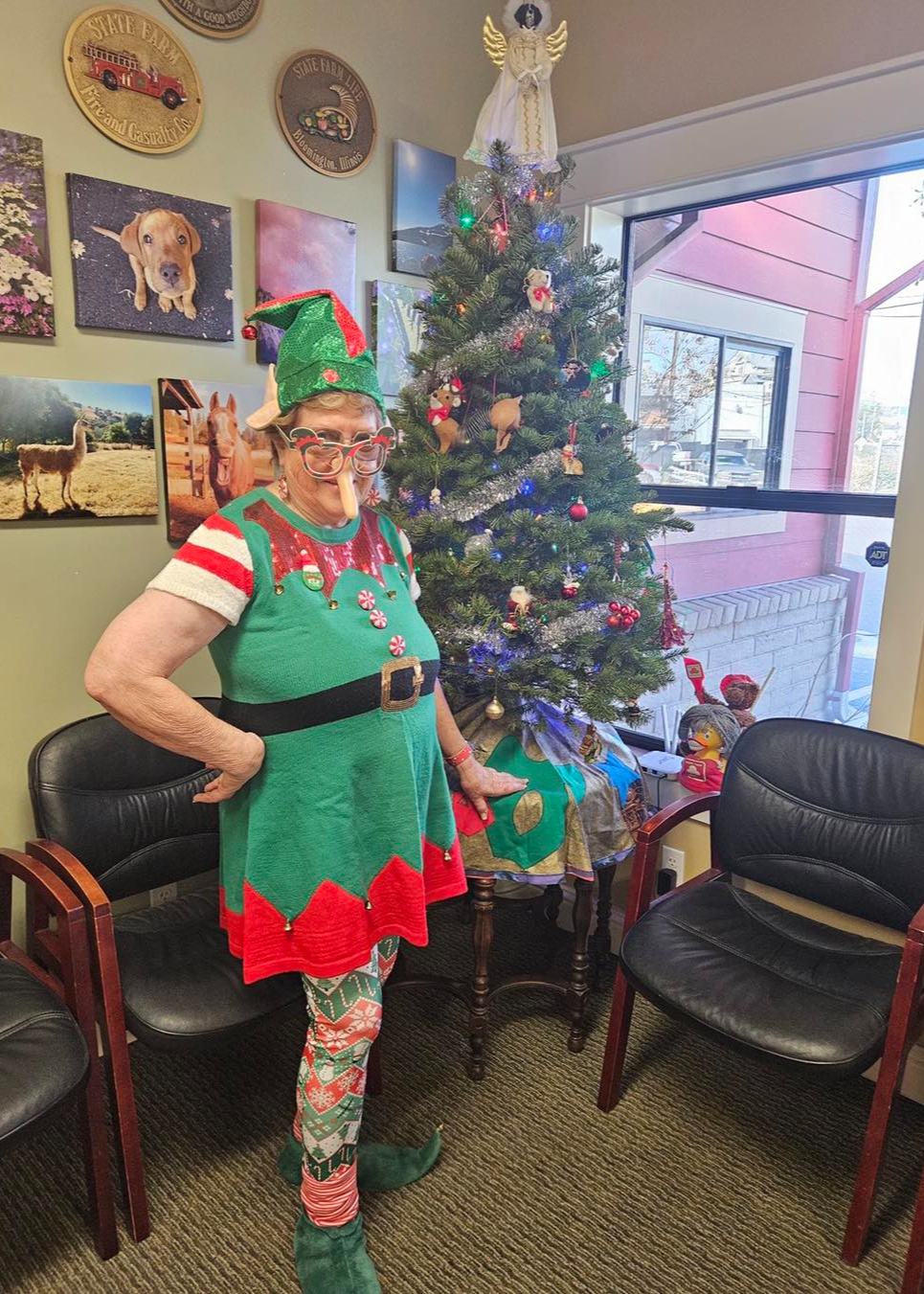 Anne Lintz - State Farm Insurance Agent Image