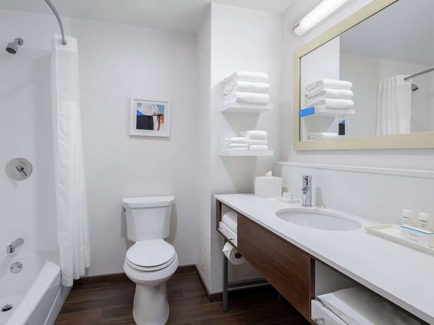Images Hampton Inn Chicago McCormick Place