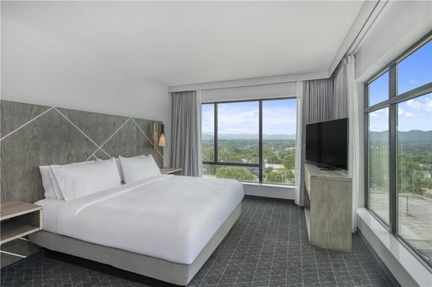 Images Embassy Suites by Hilton Asheville Downtown