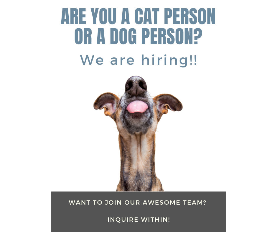 Hiring The Filling Station Pet Supplies