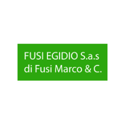 Fusi Egidio Logo