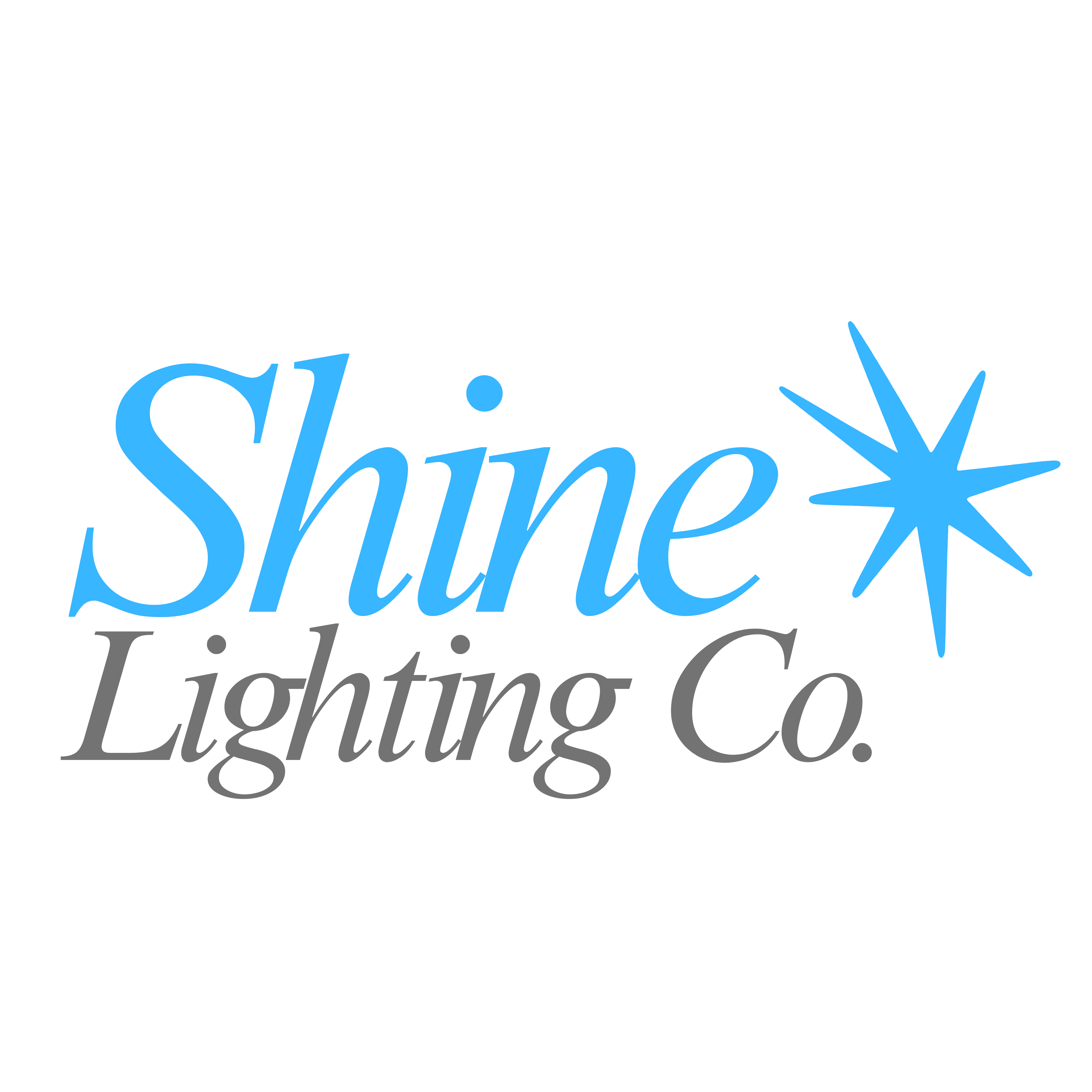 company logo