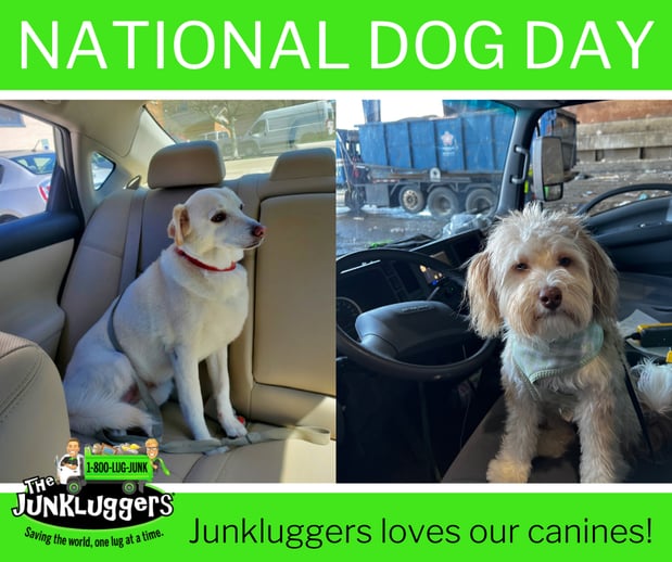 Images The Junkluggers of Kentucky