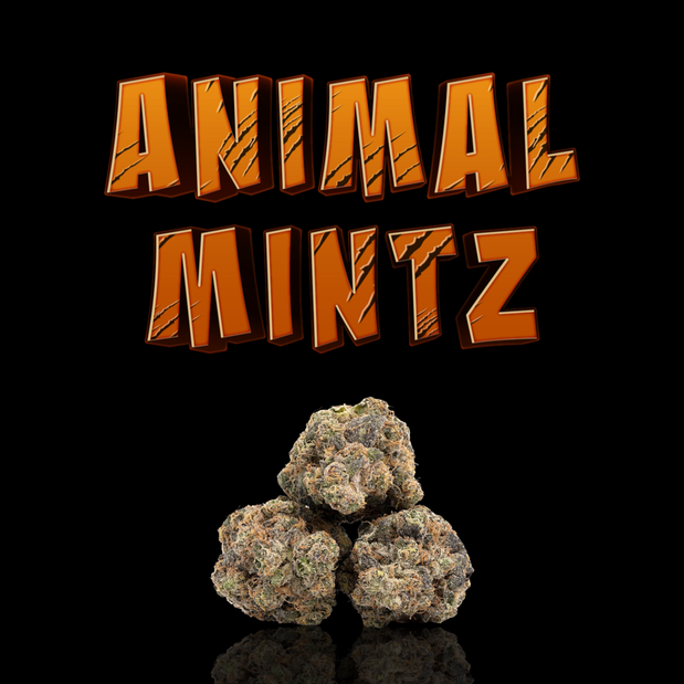 Images The Hempire Collective Weed Dispensary Scottville