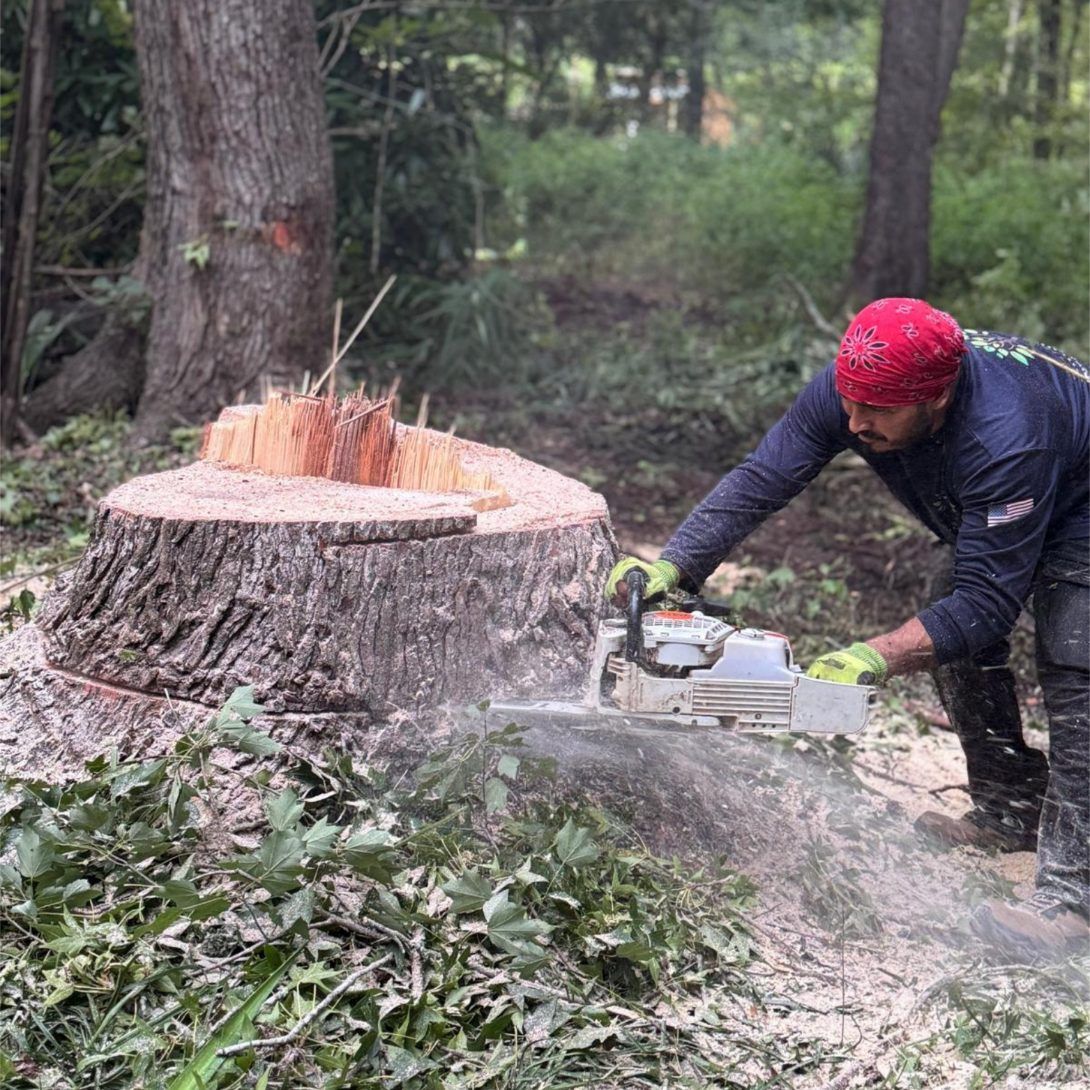 Triple A Tree Service Image