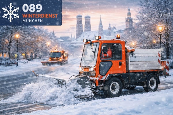 Bilder 089 Winterdienst München