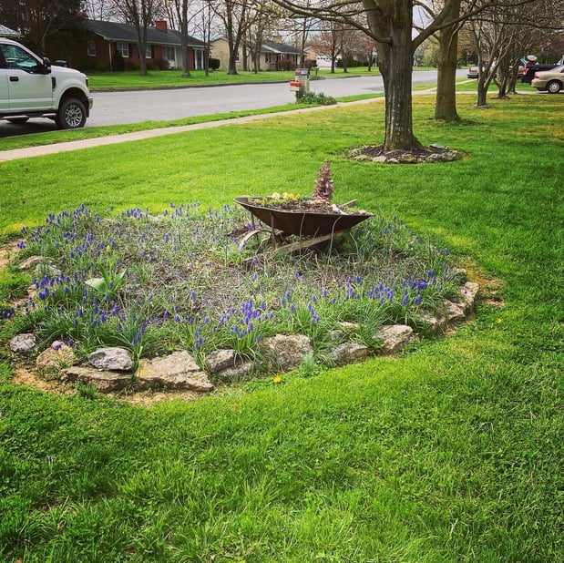 Images Barr Landscaping