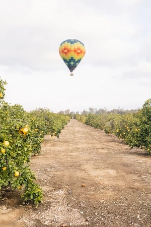 Images Arrive Temecula