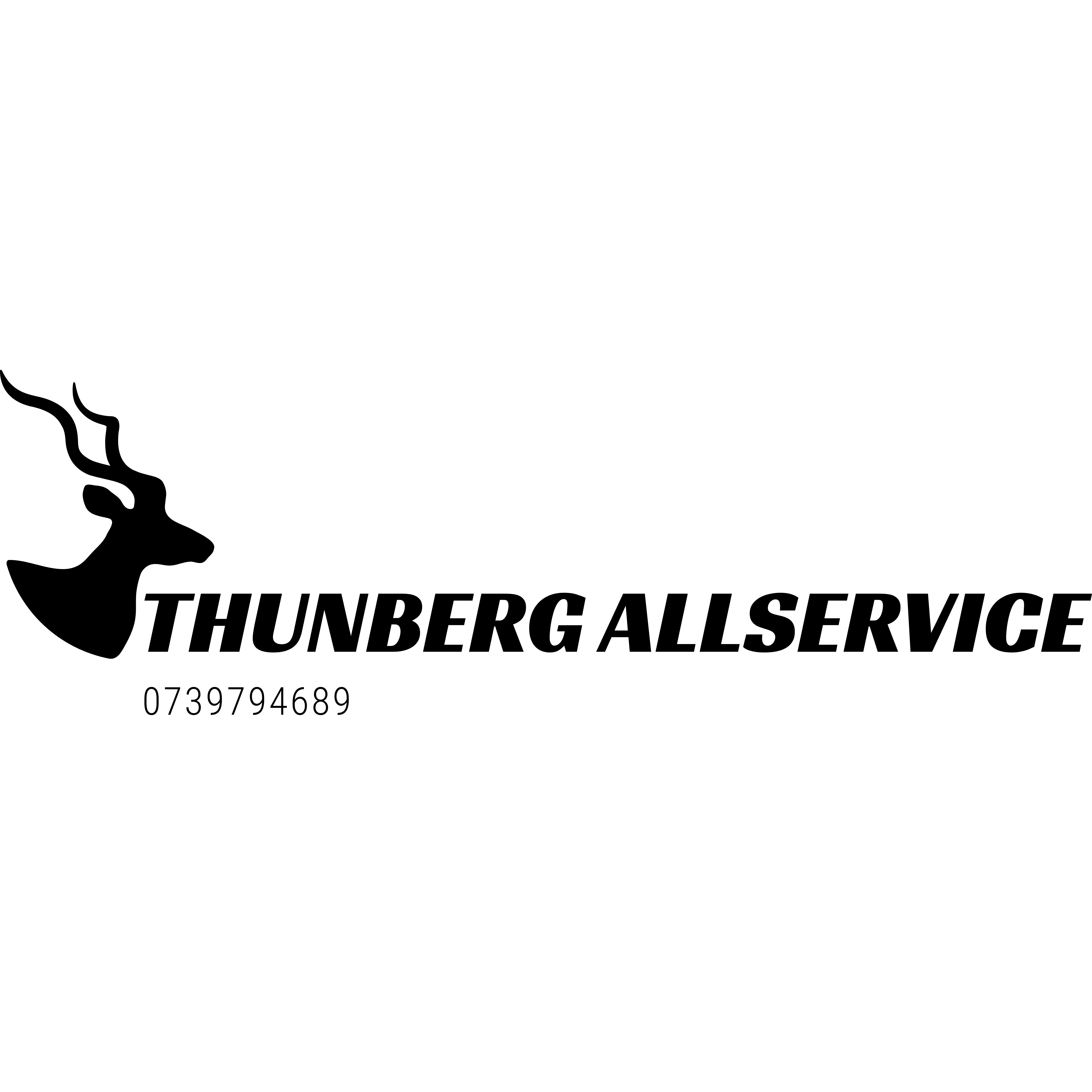 Thunberg Allservice AB Logo