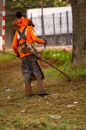 Images Lake Area Tree Removal & Services