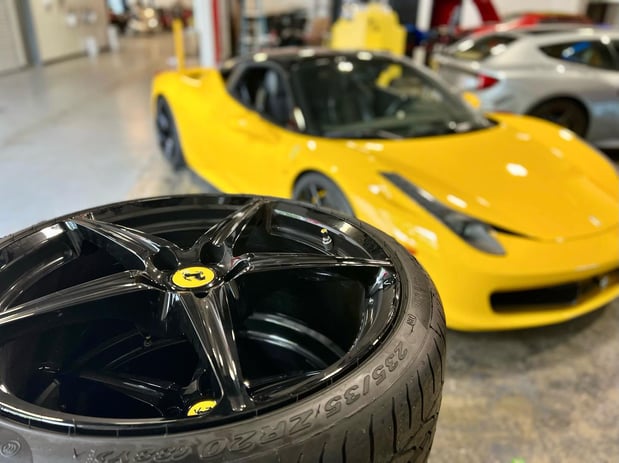 Images Loudoun County Exotics
