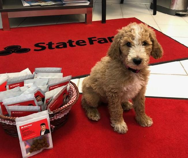 Images Brian O'Korn - State Farm Insurance Agent