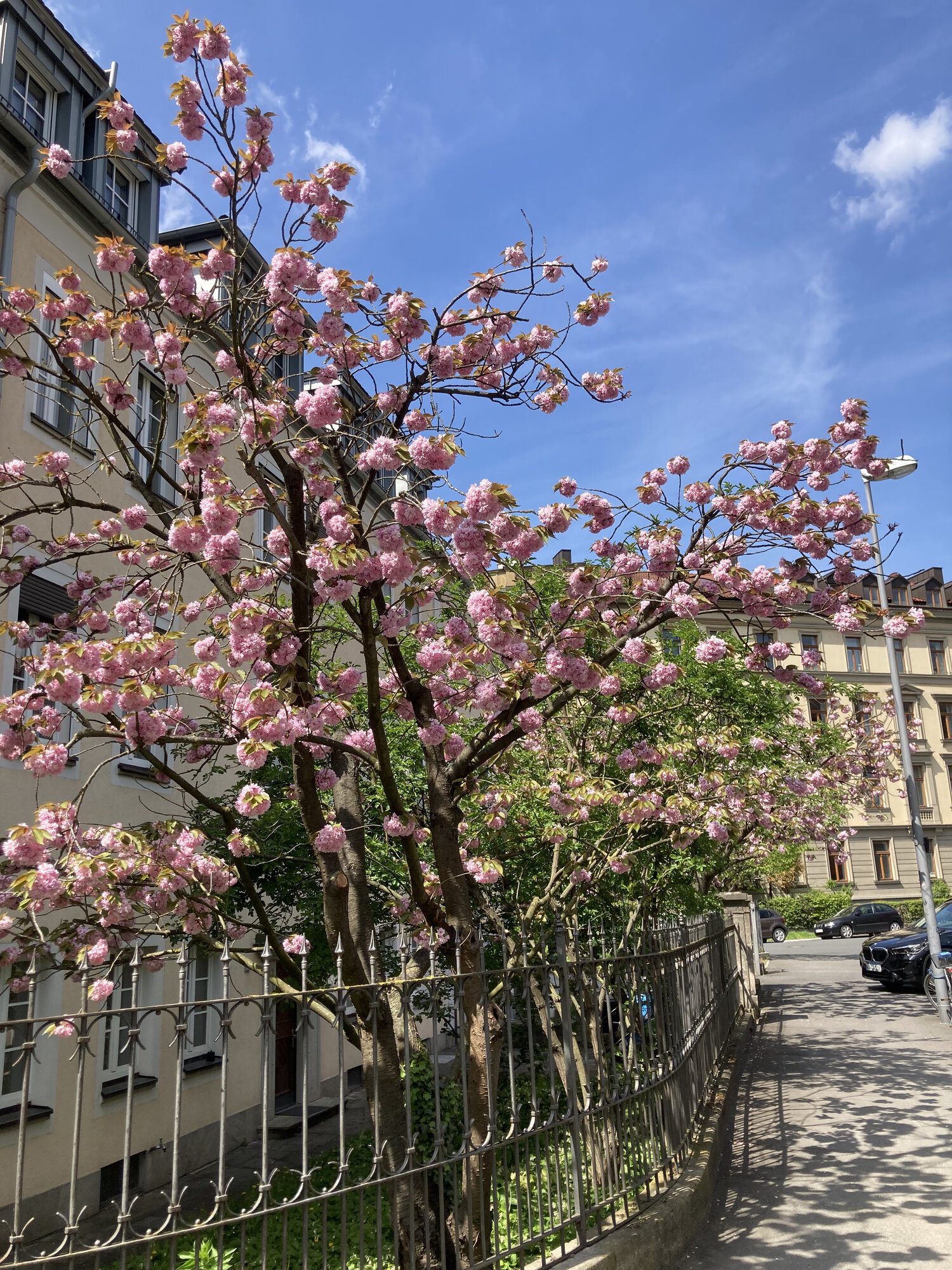 Kundenbild groß 15 Freigeist Immobilien Würzburg