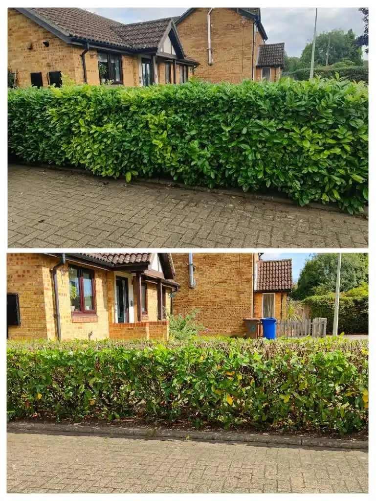 Images Clarke's Garden Care