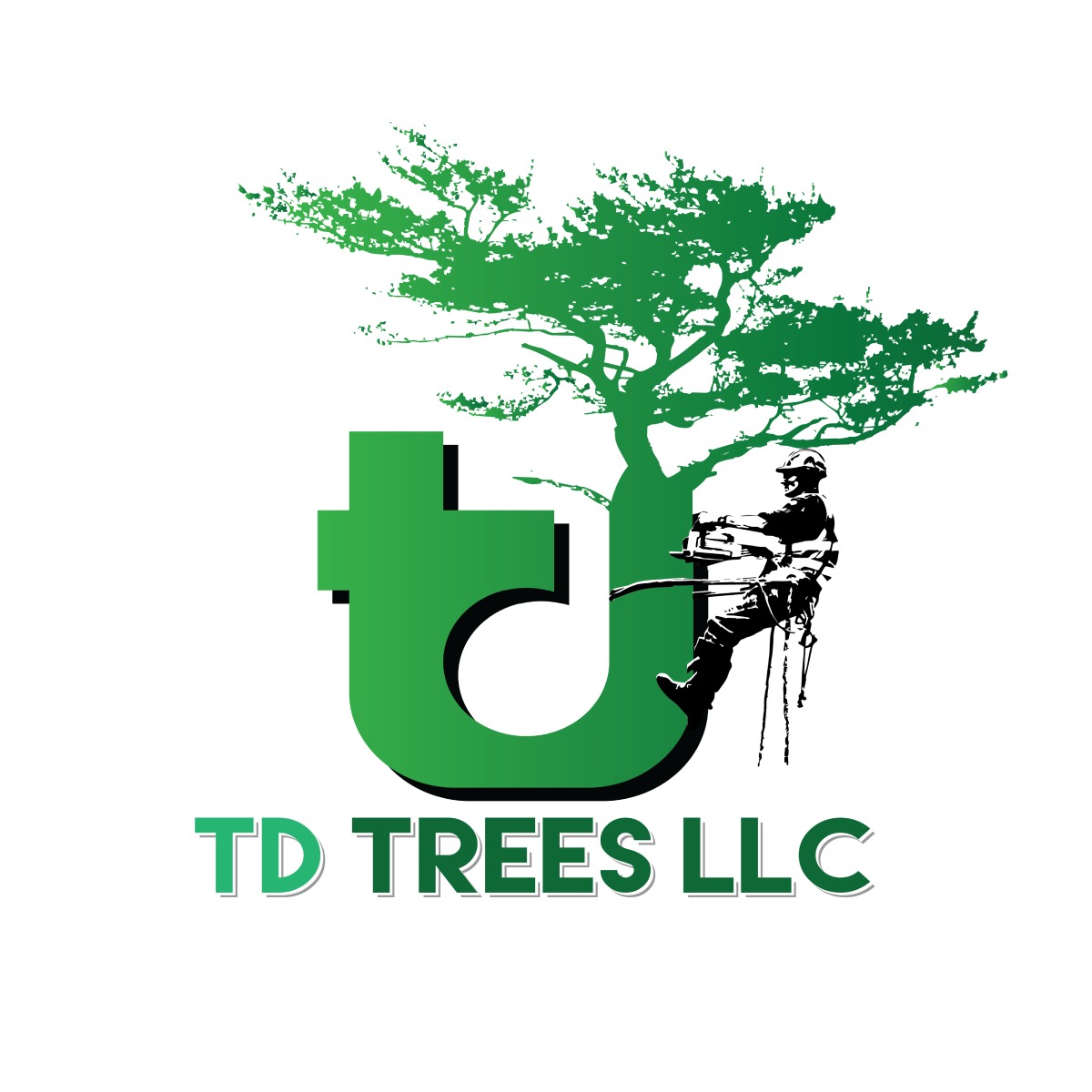 TD Trees LLC