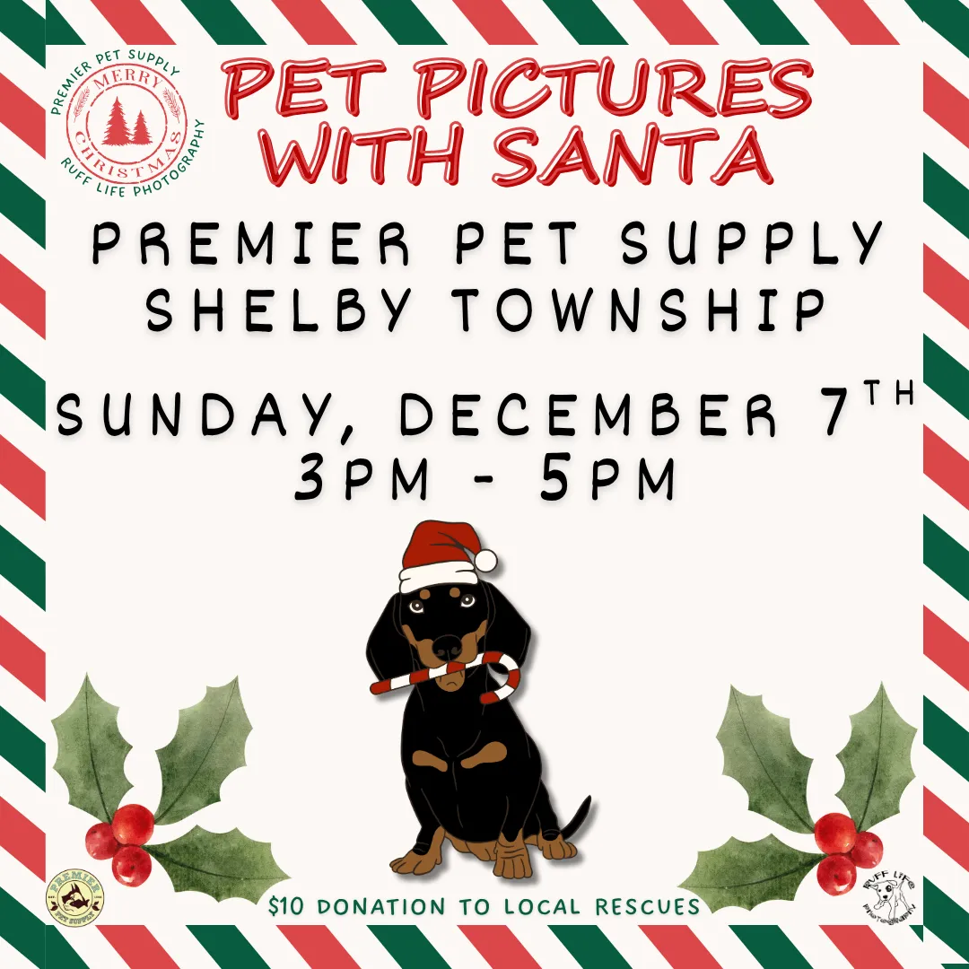 Image of Local Pet Event PET PHOTOS W/ SANTA & RUFF LIFE PHOTOGRAPHY | SHELBY TWP. Nearby