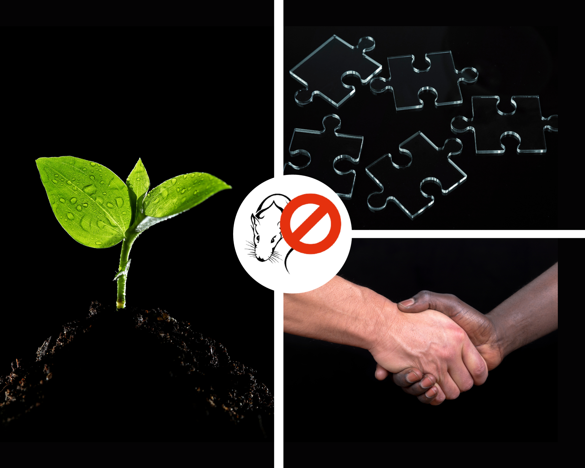 Schädlingsbekämpfung Pestbusters UG (haftungsbeschränkt), Herbert-Wehner-Str. 2 in Kamen