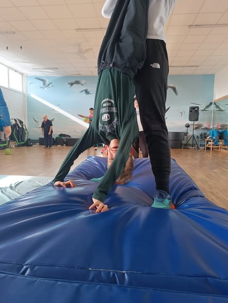 Images Primula Societa' Cooperativa Sociale