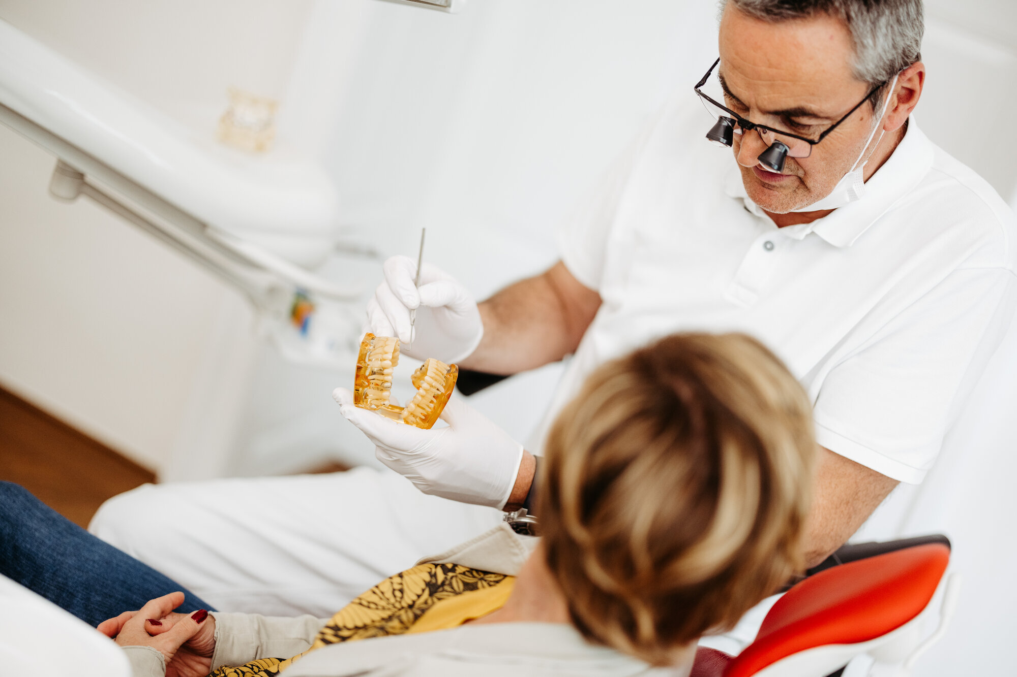 DDr. Helmut Falch Zahnarztpraxis, Kirchenstraße 13 in Purgstall An Der Erlauf