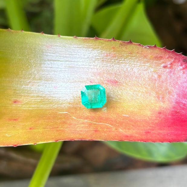 Images RockShop Fine Gems & Jewelry