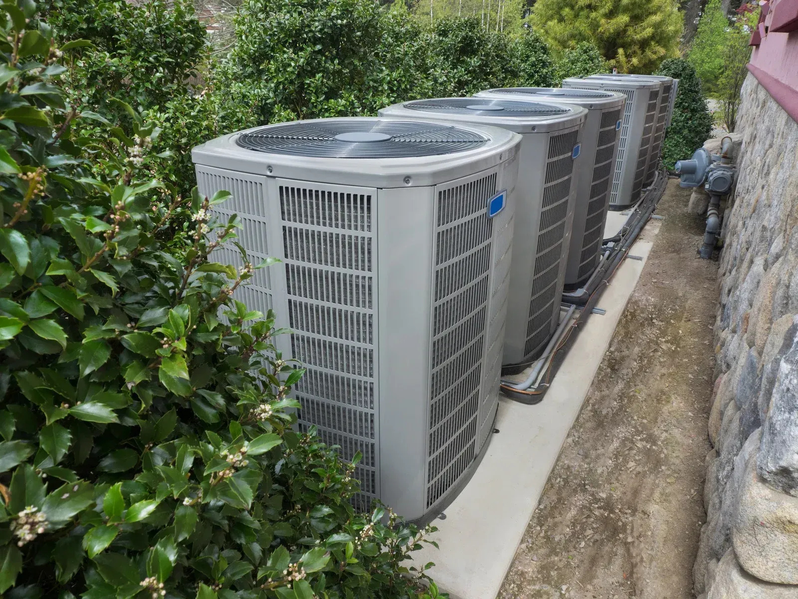 A row of four identical commercial air conditioning units sit on a concrete pad next to a stone wall, partially hidden by dense green bushes and foliage.