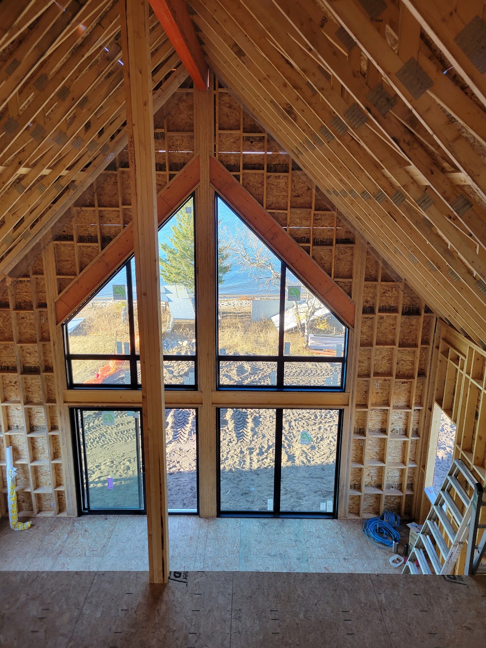 Images The Blue Spruce Builder
