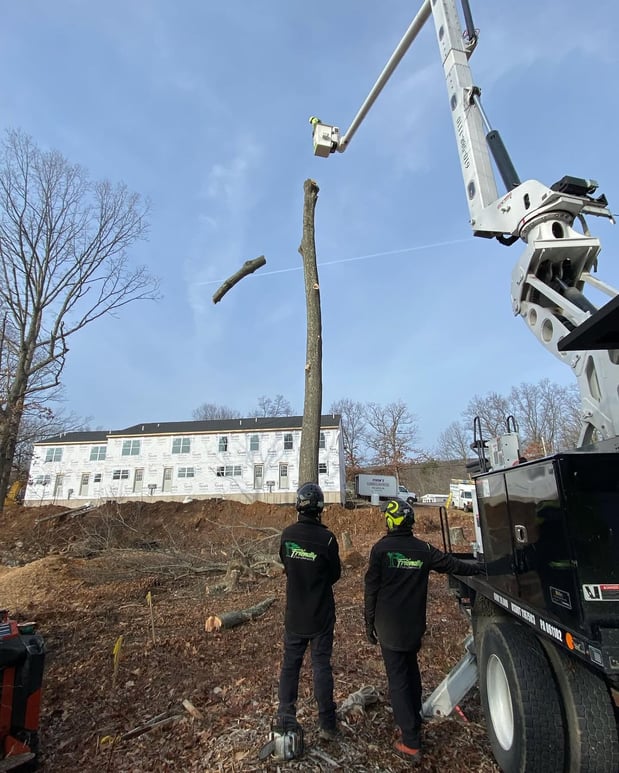 Images Friendly Tree Service Inc