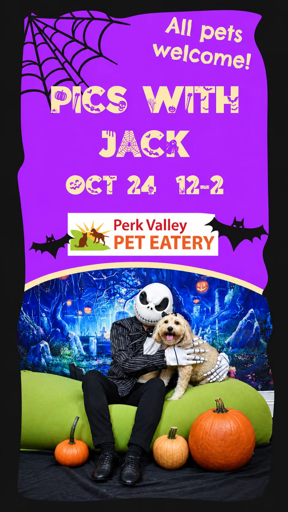 Image of Local Pet Event Halloween Pictures with Jack Skellington! Nearby