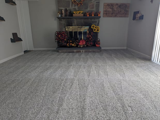 Images Five Star Carpet Service LLC