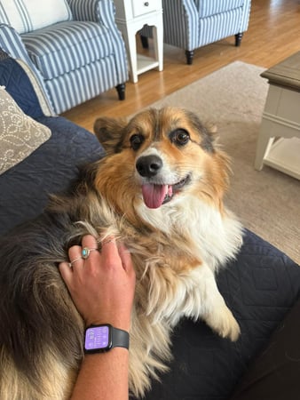 Images Leash and Love LLC