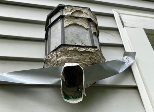 Images All-Pro Pest Control