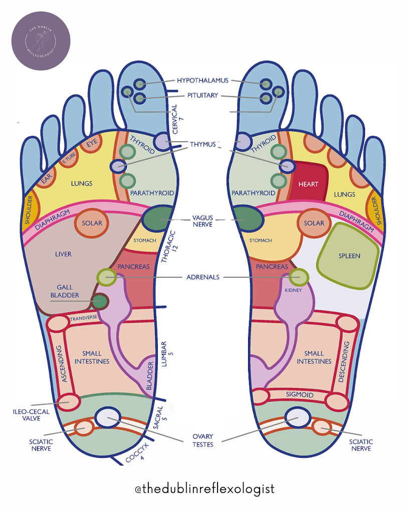 The Dublin Reflexologist