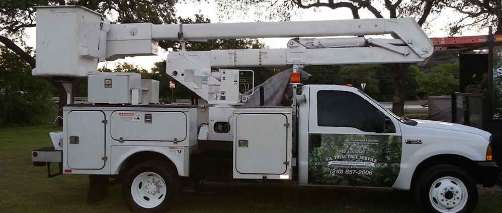 SA Total Tree Service Photo