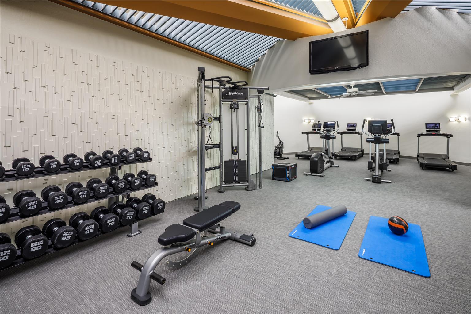 Health club  fitness center  gym
