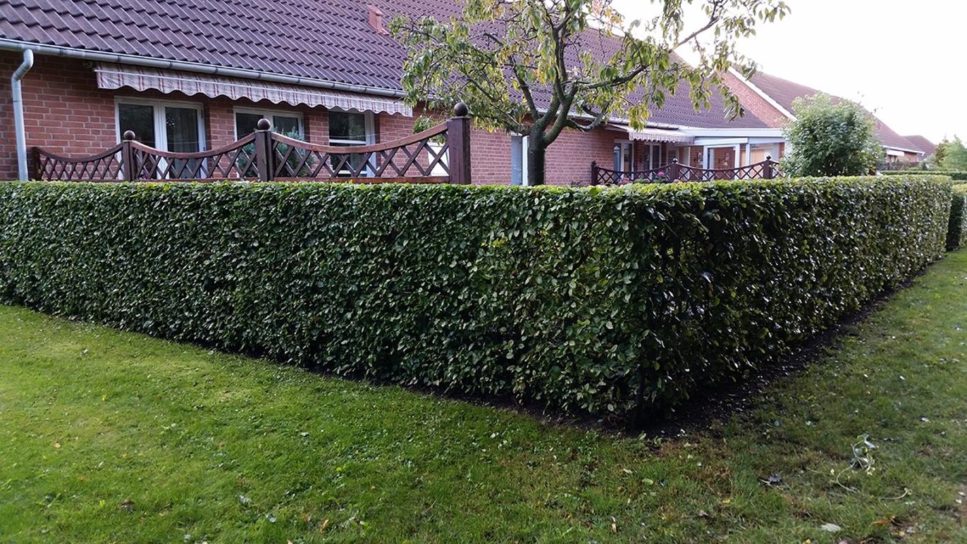 Images Handyman Torben Kristensen