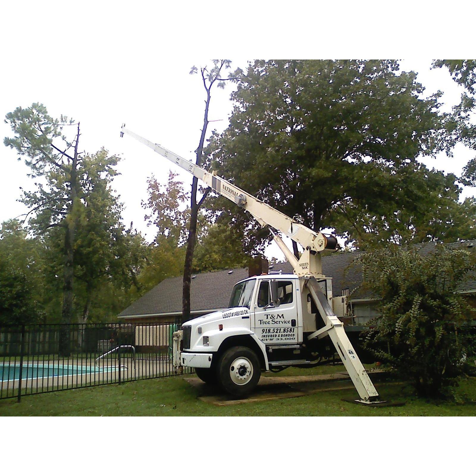 T & M Tree Service