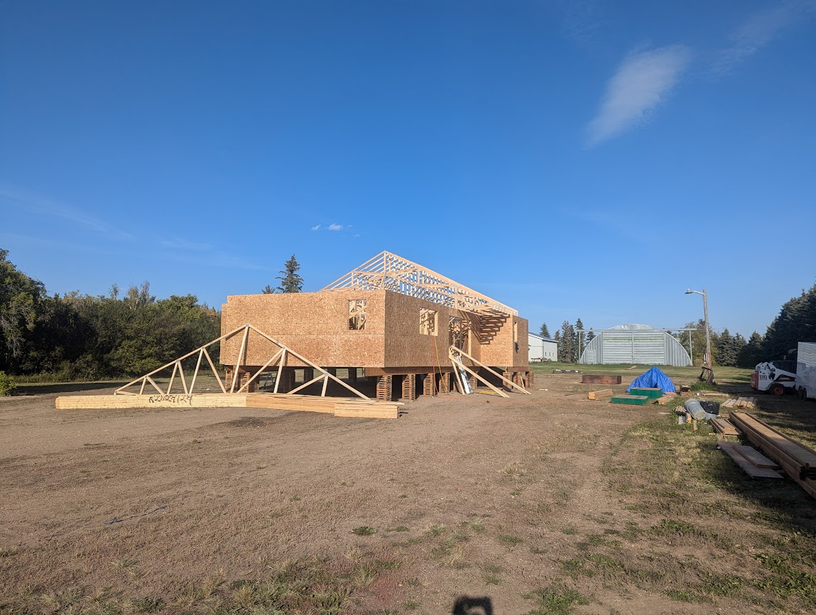 Images The Blue Spruce Builder