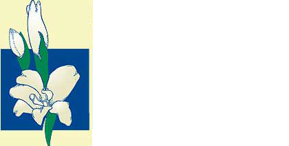Images Patterson's Flowers, Inc.