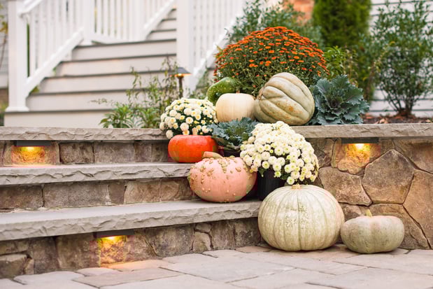 Images Strange's Florists Greenhouses & Garden Centers